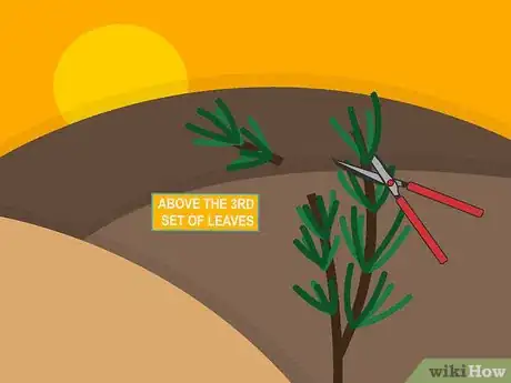 Image titled Prune Organic Plants Step 14