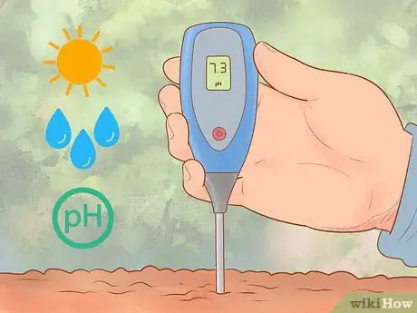Image titled Plant Leyland Cypress Step 3