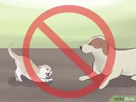 Image titled Calm an Aggressive Cat Step 14