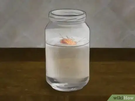 Image titled Get Rid of Roaches Step 14