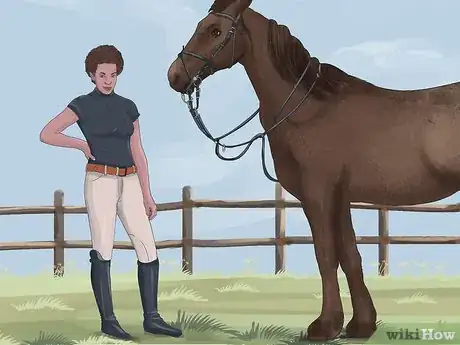 Image titled Brush a Horse Step 3