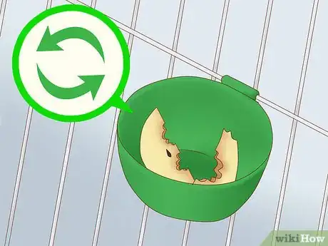 Image titled Feed a Conure Step 7