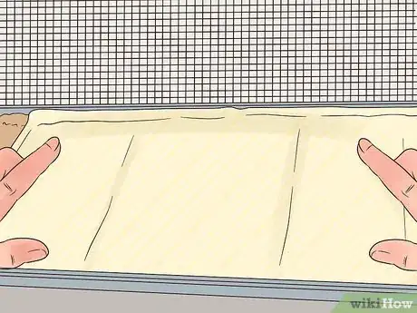 Image titled Keep Multiple Chinchillas Step 7