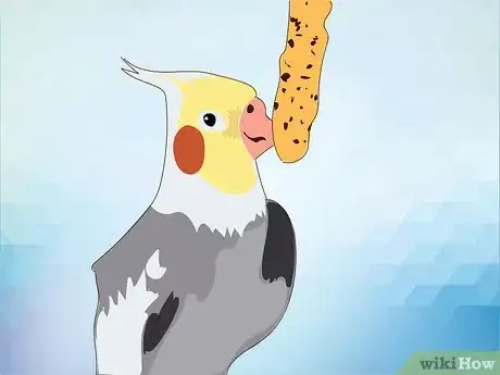 Image titled Feed Cockatiels Step 14