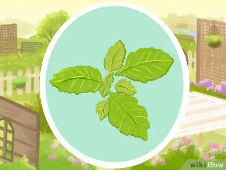 Image titled Plant a Deer‐Resistant Garden Step 16