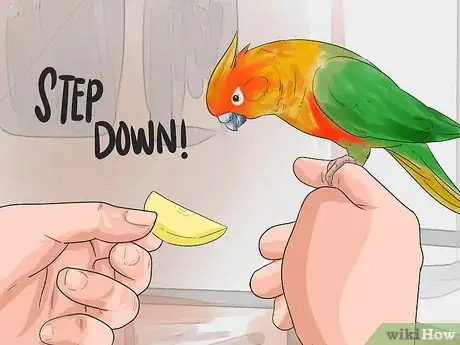Image titled Perch Train Your Parakeet Step 9
