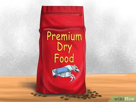 Image titled Care for a Greyhound Step 9