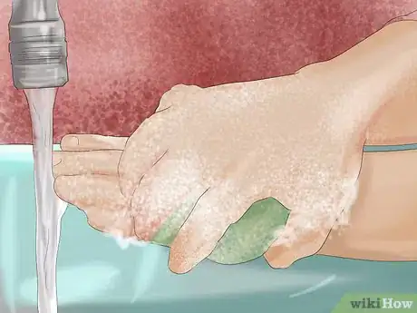 Image titled Prevent Respiratory Problems in Guinea Pigs Step 11