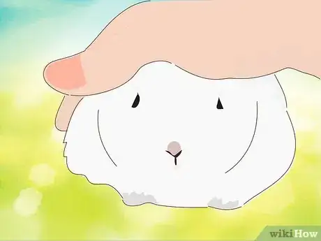 Image titled Address Biting and Aggressive Behavior in a Rabbit Step 10