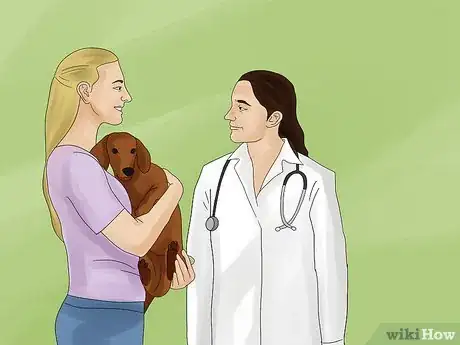 Image titled Avoid Losing Your Dog Step 2