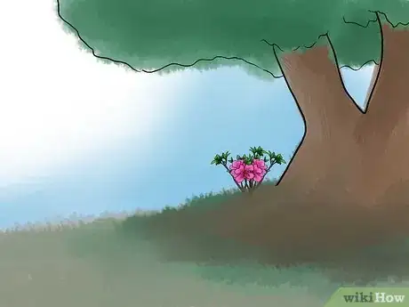 Image titled Care for Azaleas Step 4