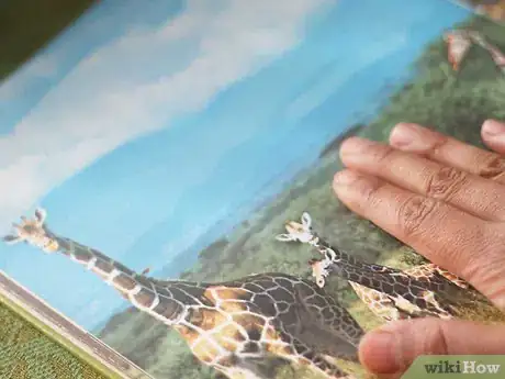 Image titled Have a Build a Bear School Step 5