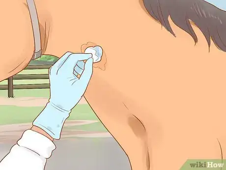 Image titled Draw a Horse's Blood Step 6