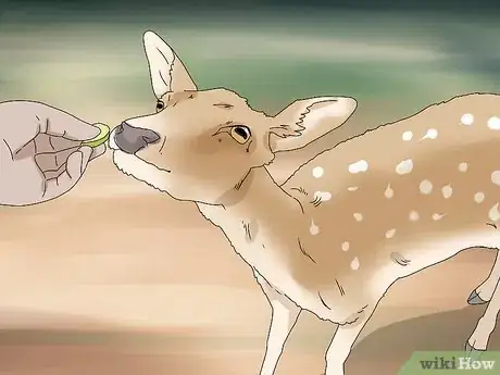 Image titled Feed Deer Step 10