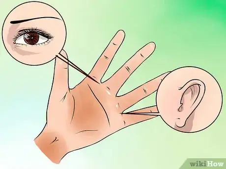 Image titled Read a Hand Reflexology Chart Step 2