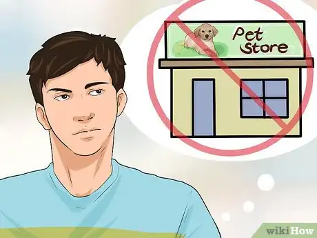 Image titled Buy a Labrador Retriever Puppy Step 17
