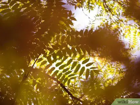 Image titled Be Respectfully Righteous Step 1