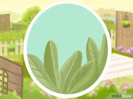 Image titled Plant a Deer‐Resistant Garden Step 18