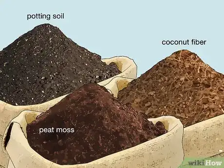 Image titled Care for a Chilean Rose Tarantula Step 4
