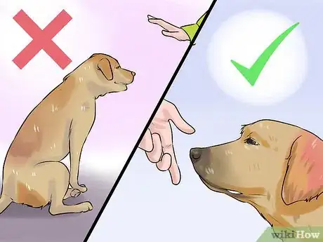 Image titled Modify Tricks Based on an Old Dog's Physical Limitations Step 2