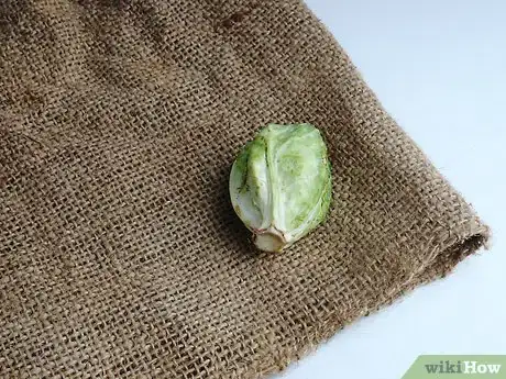Image titled Select and Store Brussels Sprouts Step 5