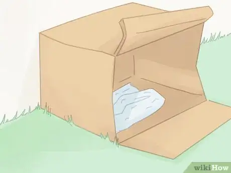 Image titled Handle a Stray Cat Step 10