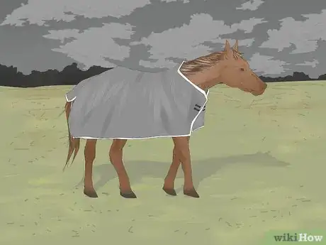 Image titled Measure for a Horse Blanket Step 16