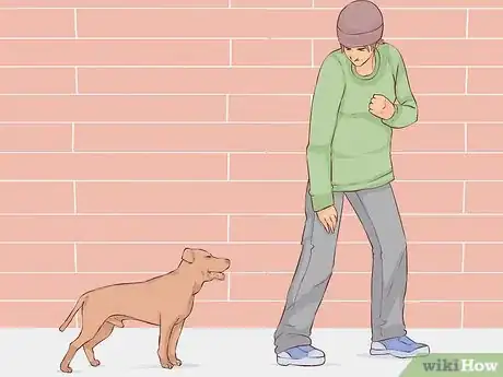Image titled Know if Your Old Dog Stops Recognizing People Step 1