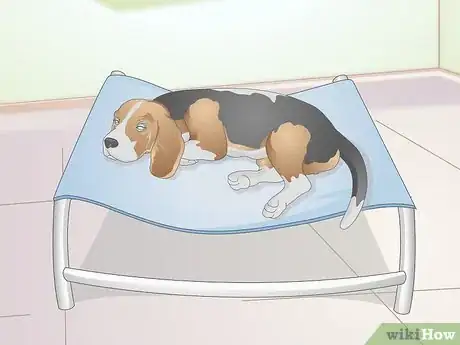 Image titled Select a Dog Bed Step 11