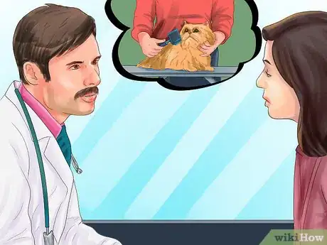 Image titled Find a Professional Cat Groomer Step 1
