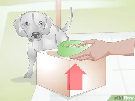 Image titled Make Feeding Comfortable for Arthritic Dogs Step 2