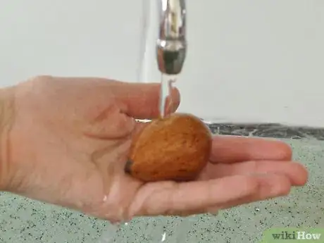 Image titled Grow an Avocado As a Houseplant Step 4