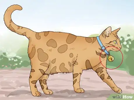 Image titled Protect Small Yard Animals from Cats Step 8