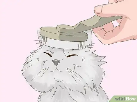 Image titled Keep Hair Out of Your Cat's Eyes Step 5