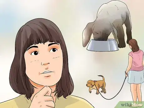 Image titled Introduce a New Puppy Step 1