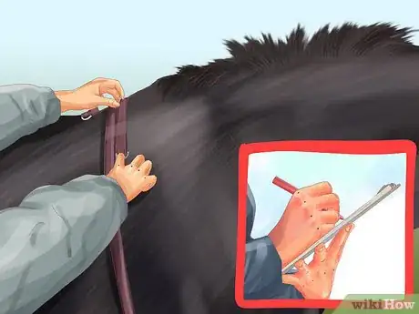 Image titled Monitor a Horse's Weight in Winter Step 6