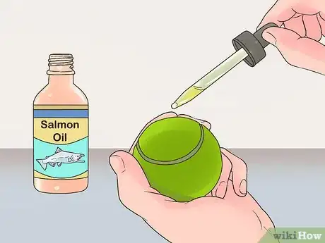 Image titled Play Fetch with a Ferret Step 6