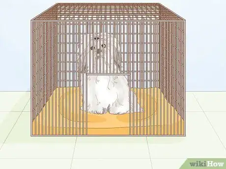 Image titled Prevent Dog Fights Step 8