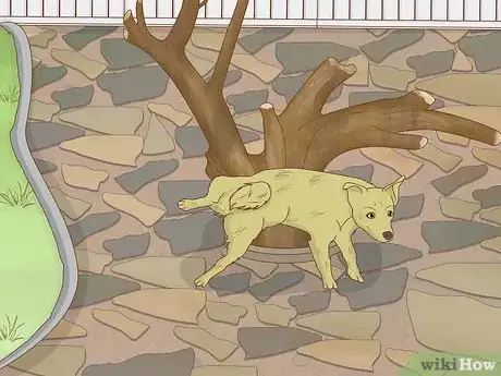 Image titled Garden when You Have a Dog Step 13