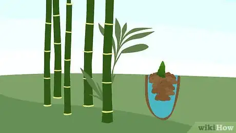 Image titled Prune Bamboo Step 13