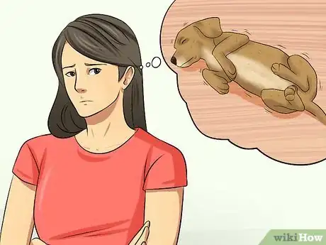 Image titled Diagnose Epilepsy in Beagles Step 2