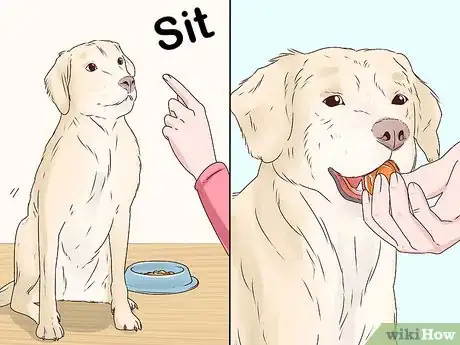 Image titled Stop a Dog from Eating Too Fast Step 9