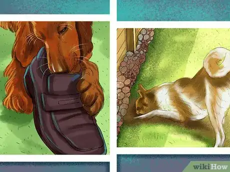 Image titled Relieve Your Dog's Boredom Step 10