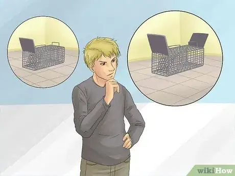 Image titled Catch a Chipmunk Step 1