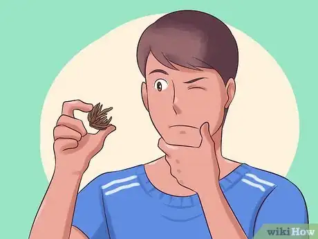 Image titled Plant and Care for a Ranunculus Step 4