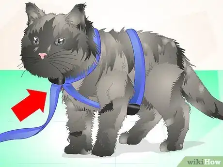 Image titled Deliver Oral Medication to Cats Step 6