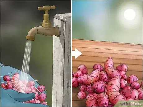 Image titled Grow Oca Step 12