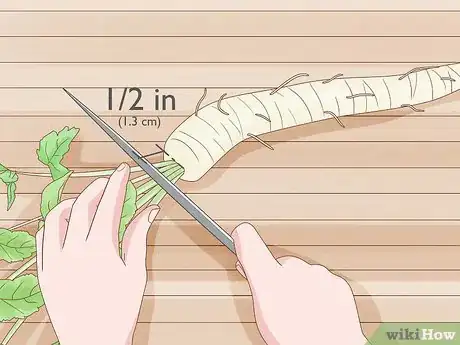 Image titled Harvest Parsnips Step 6