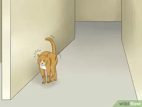 Image titled Treat Feline Retinal Disease Step 1