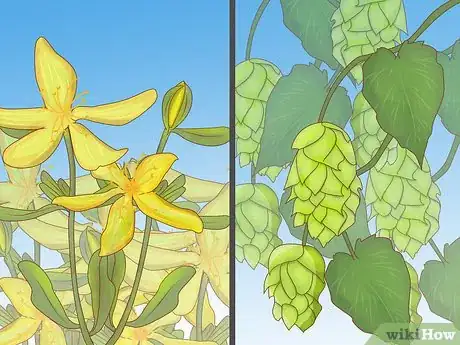 Image titled Garden when You Have a Dog Step 15